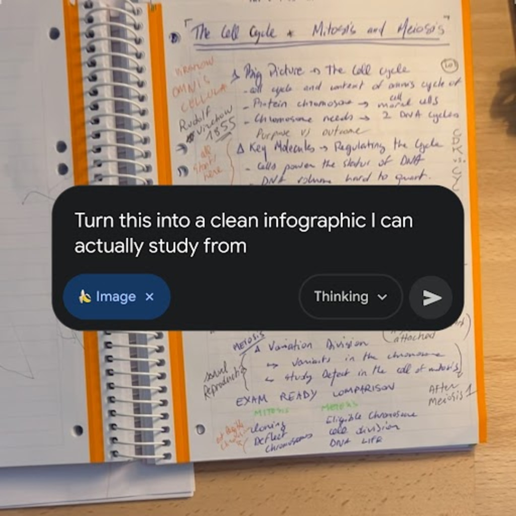 Image generation prompt that reads "Turn this into a clean infographic I can actually study from"